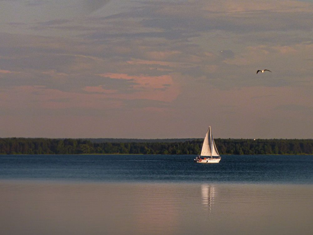 Photograph by Ольга Еженевская