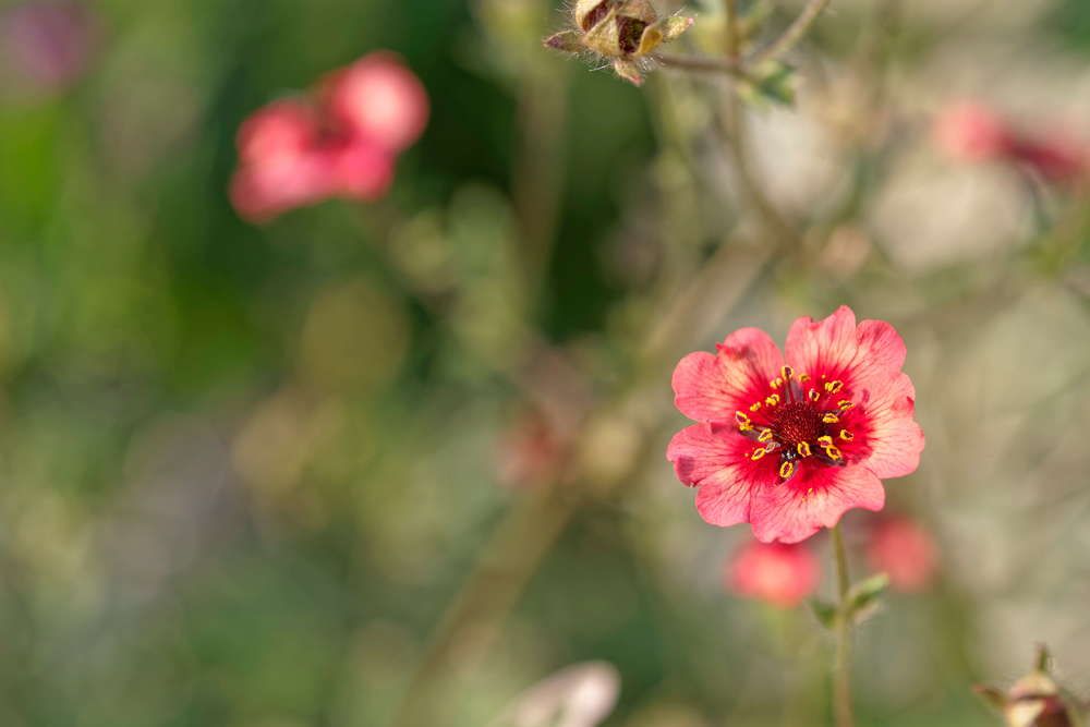 Photograph by Дмитрий