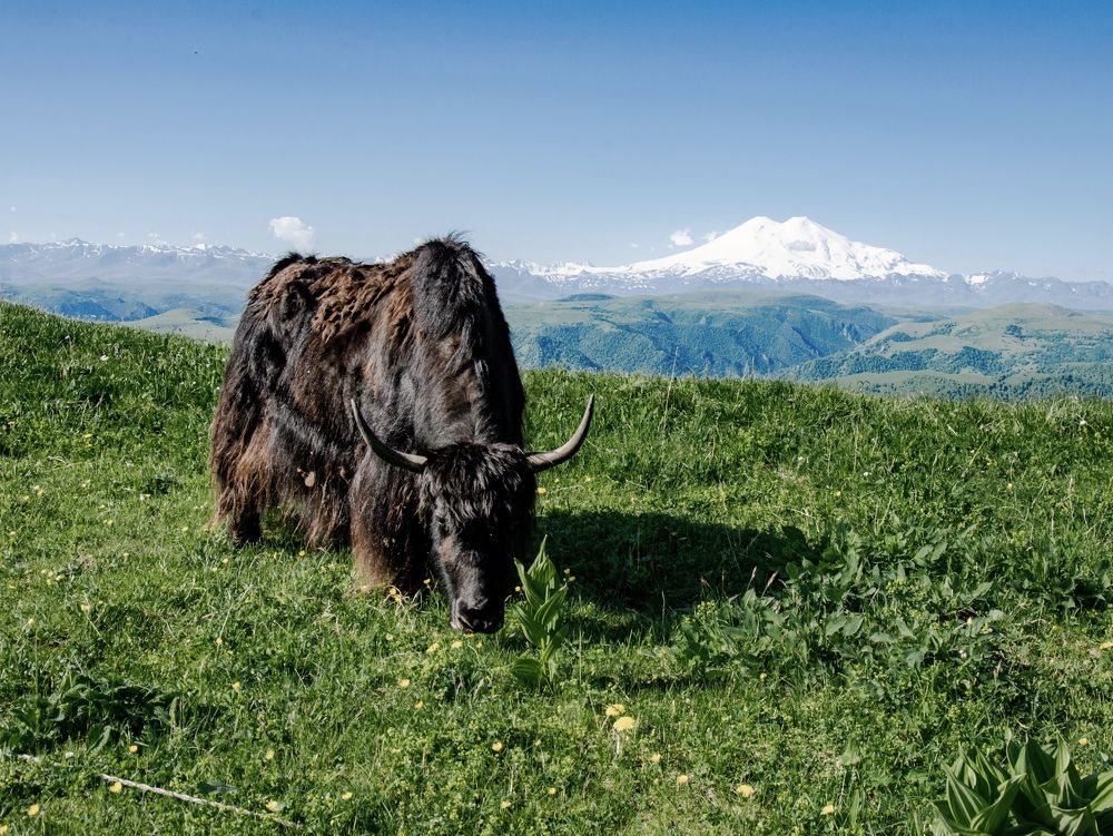 Photograph by Николай Морозов