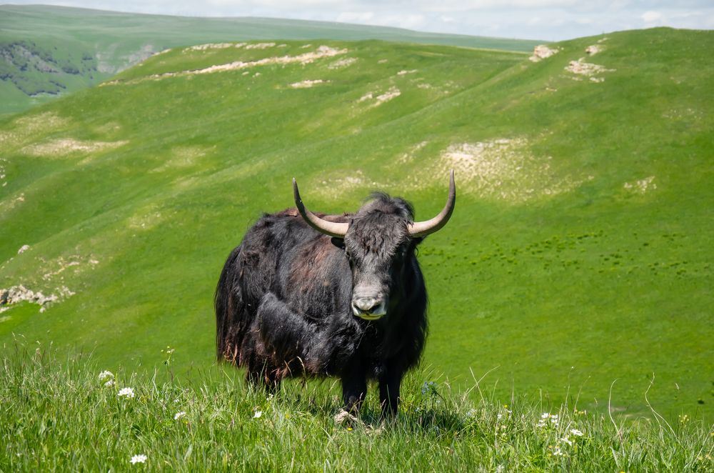 Photograph by Николай Морозов