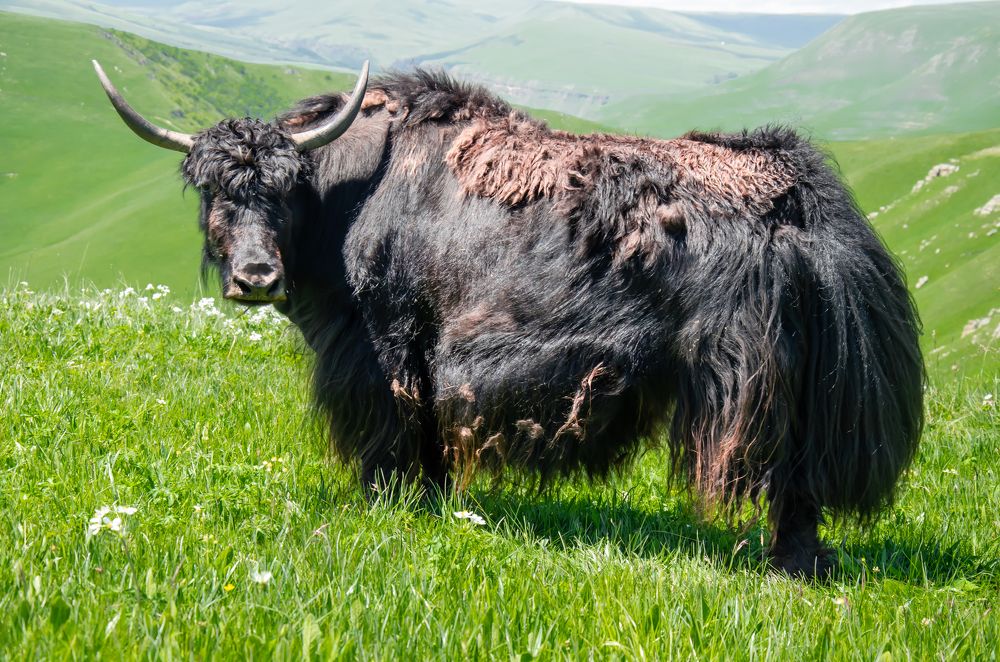 Photograph by Николай Морозов