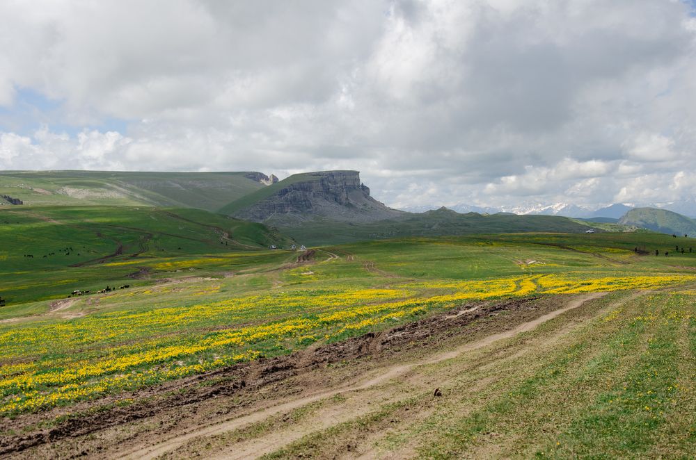 Photograph by Николай Морозов