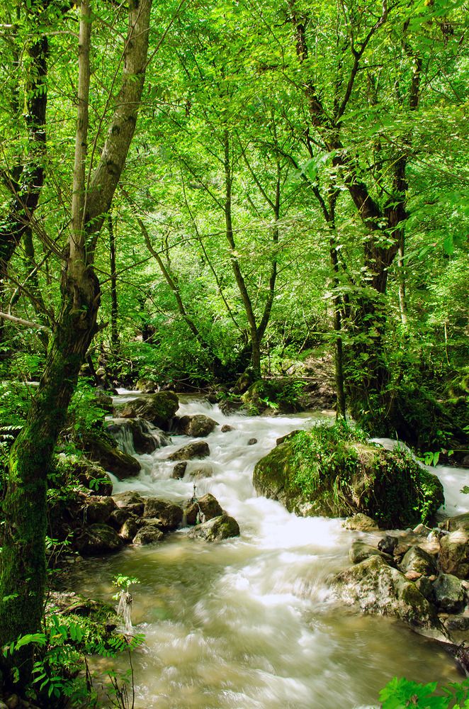 Photograph by Sahar Jafari