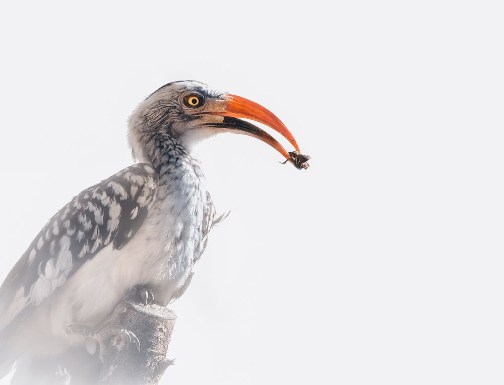 Photograph by Melanie Delamare