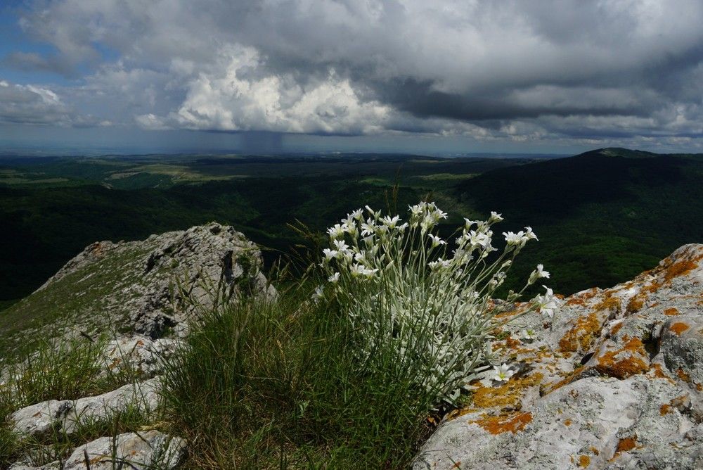 перед дождем Крым