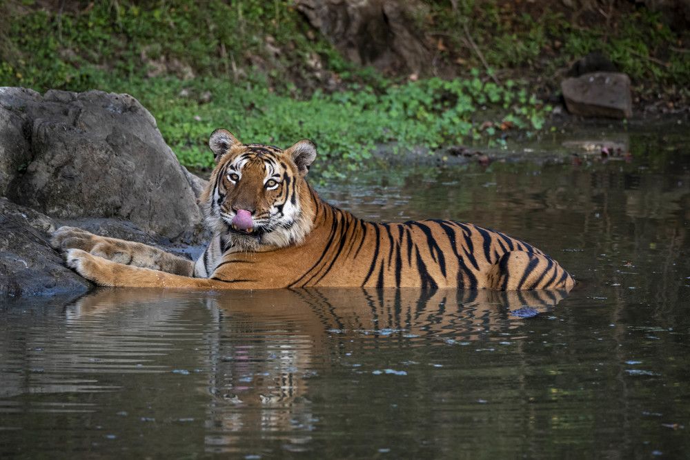 Photograph by RAJEEV JAIN