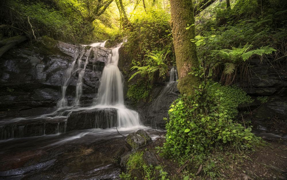 LA CASCADA DEL MOLINO