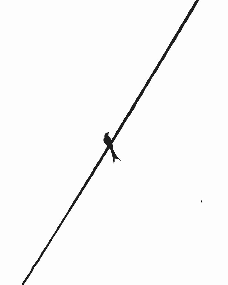 Фотография автора Nasif Ali Mondal