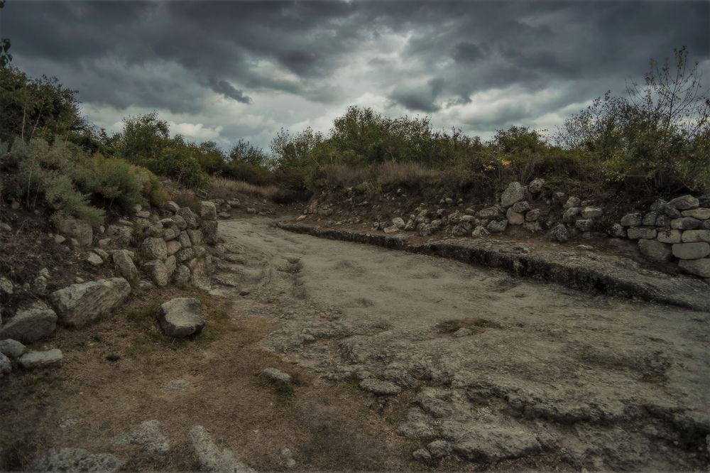 Фотография автора Дмитрий