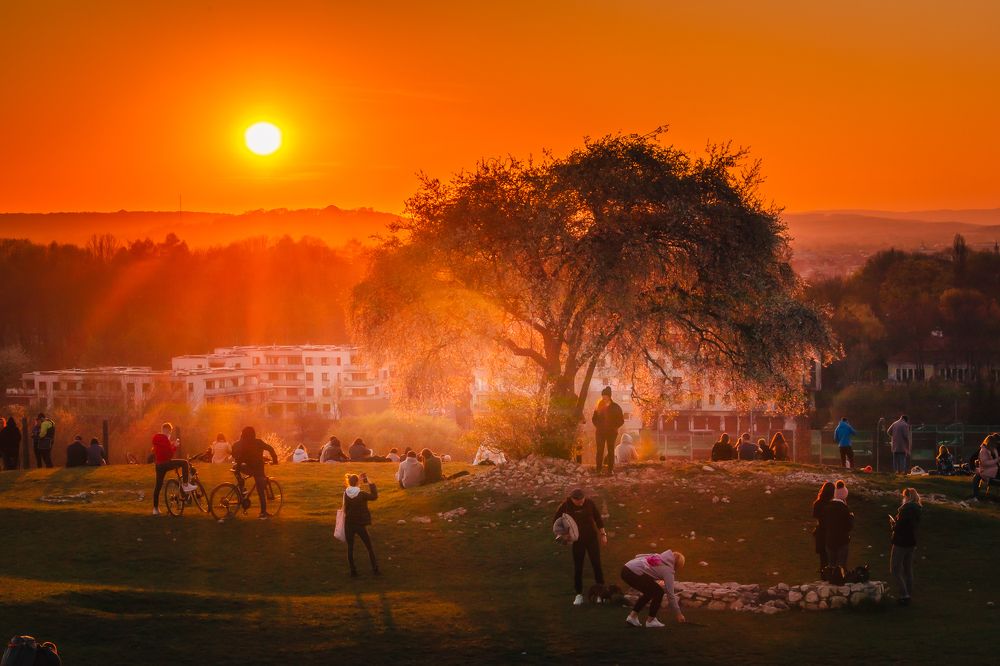 Photograph by Pawel Uchorczak