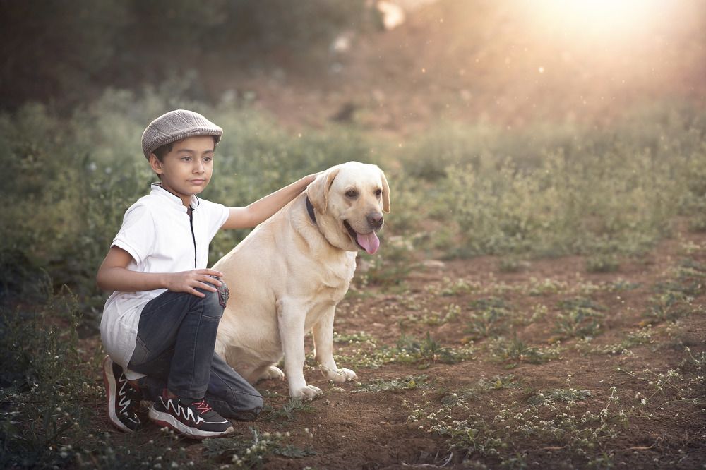 Photograph by ANOOP KUMAR CHADOKER