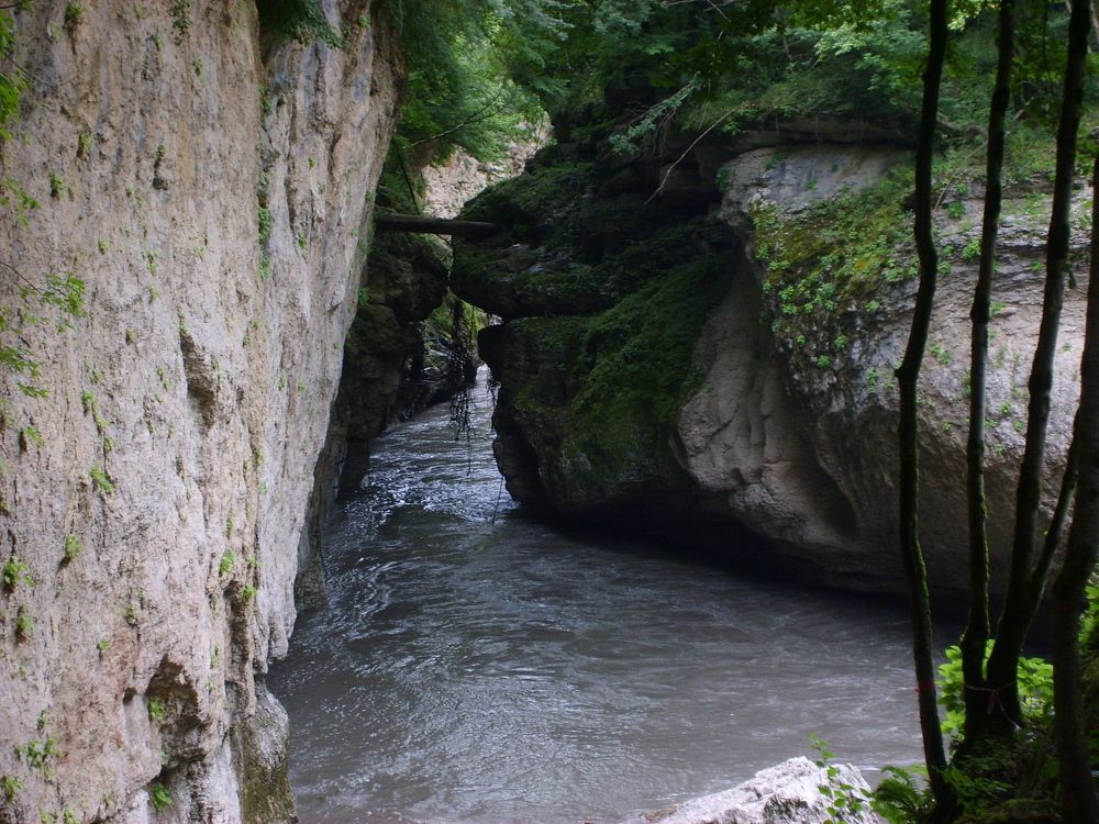 Photograph by Сергей Смоленцев