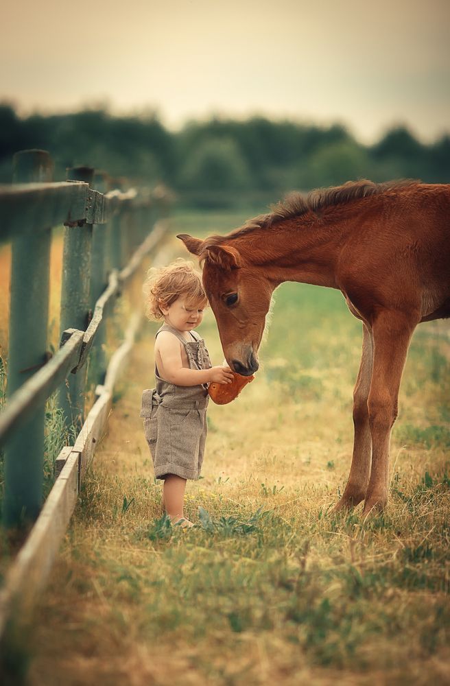 Фотография автора алексей брест
