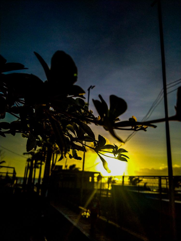 Photograph by Daniel Baletian