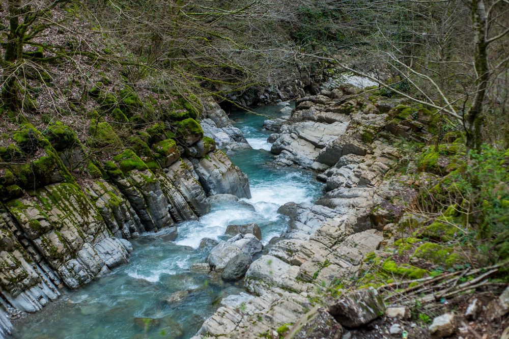 Photograph by Мария Ткаченко