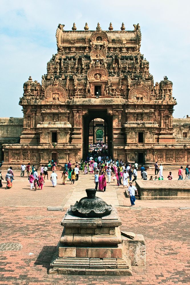 Фотография автора MANOJ MADHUSOODHANAN