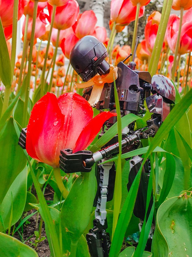 Photograph by Liudmila Kirillova