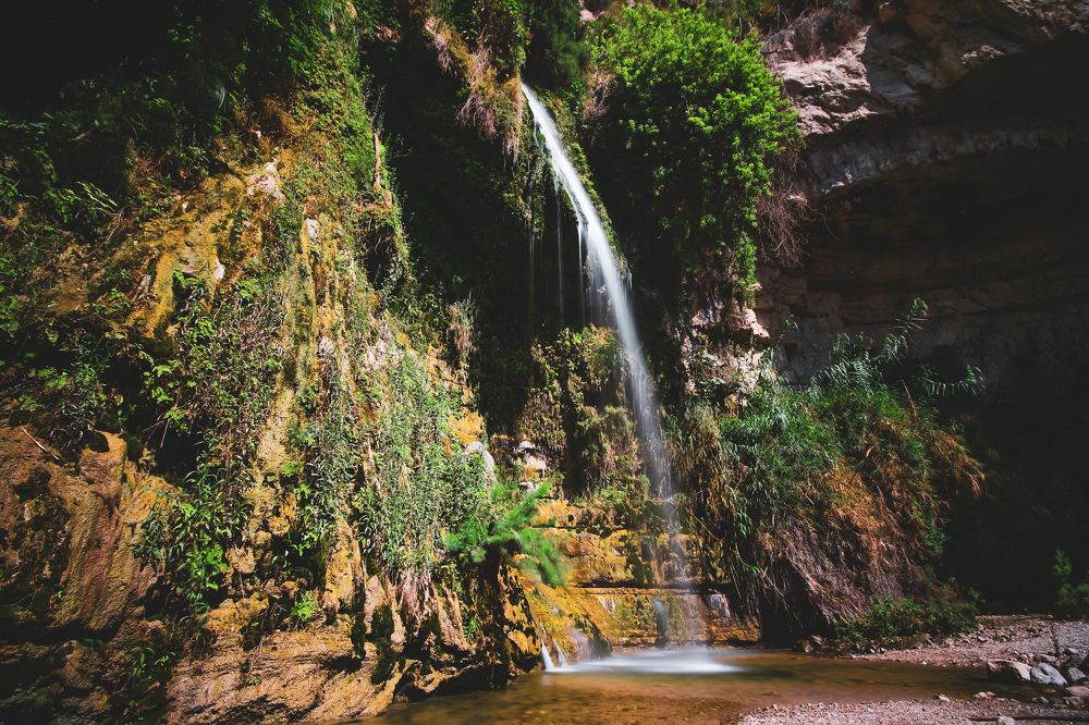 Photograph by Michael