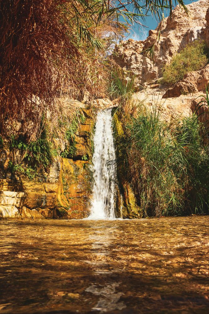 Photograph by Michael