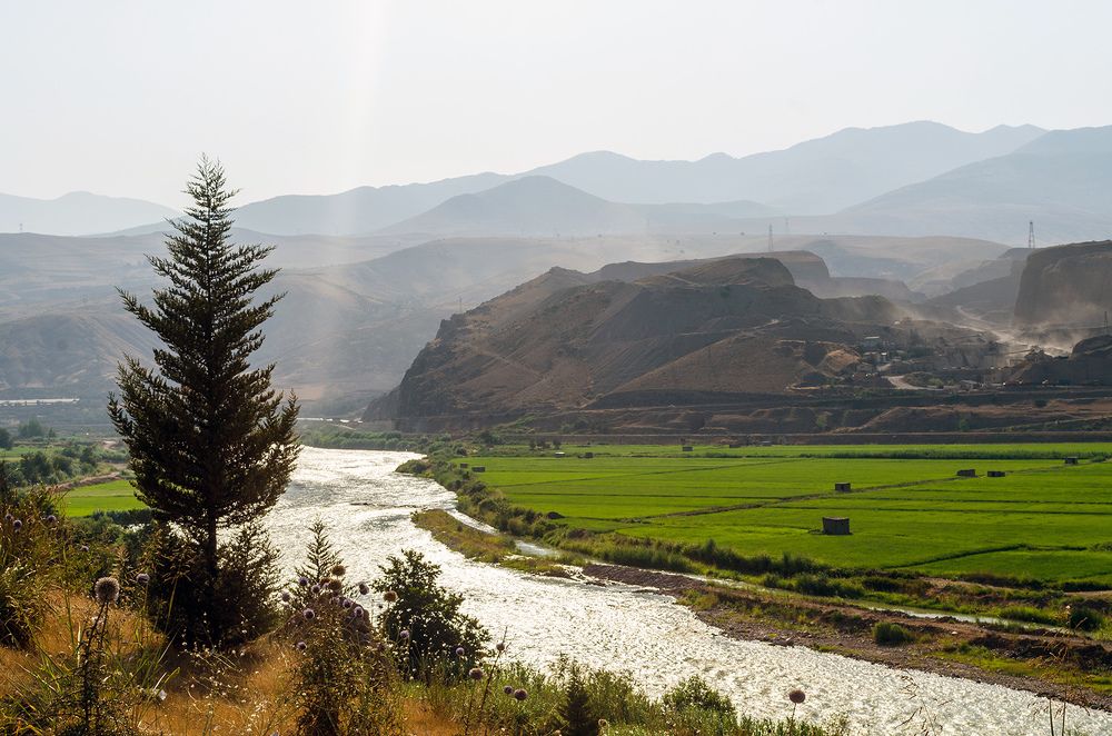 Photograph by Sahar Jafari