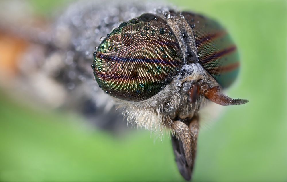 Photograph by Сергей Романченко