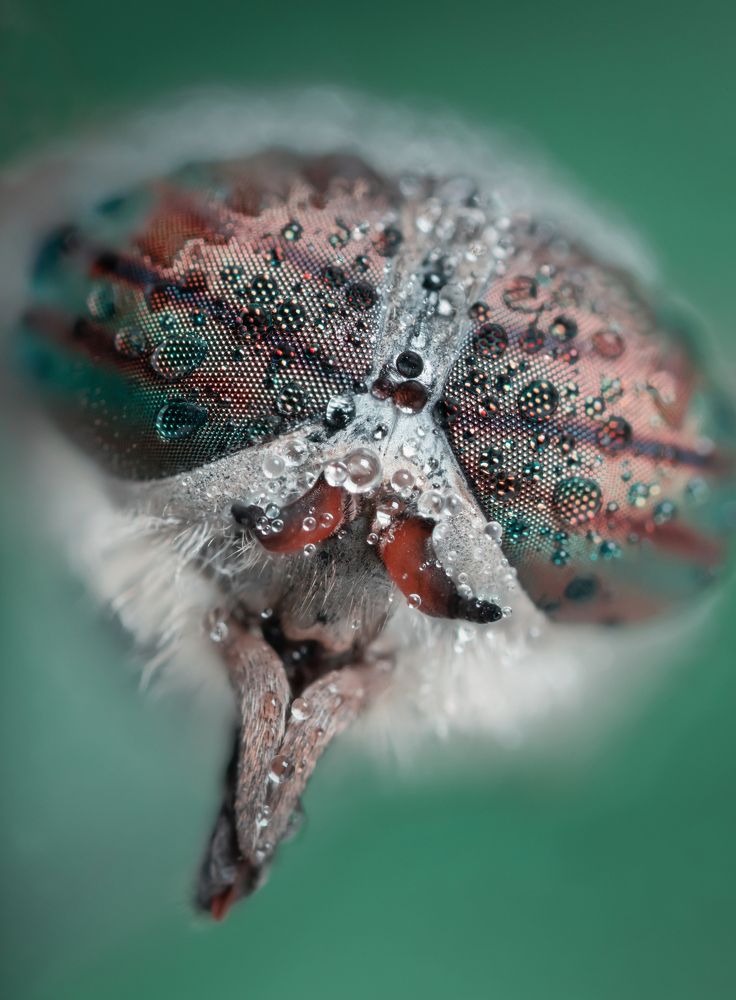 Photograph by Сергей Романченко