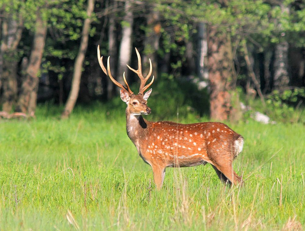 Фотография автора Михаил Крюков