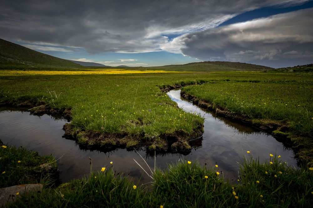 Photograph by Davar Davar