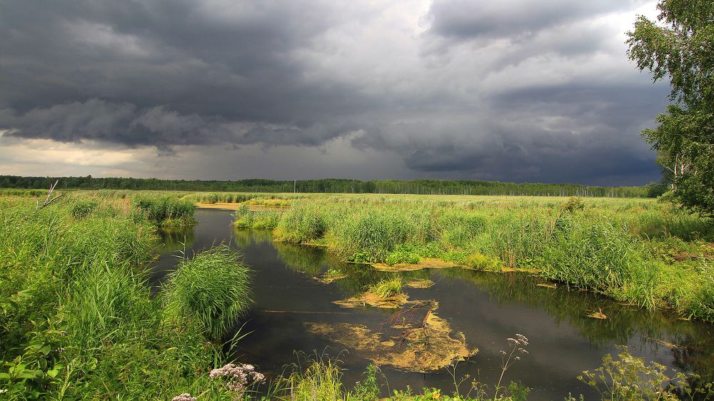 Фотография автора Михаил Крюков