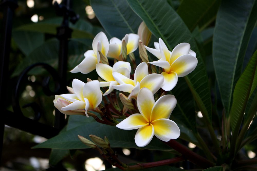 Photograph by Сергей Рапопорт