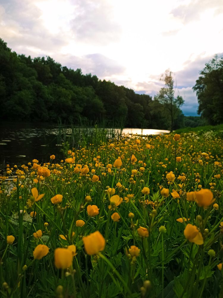 Photograph by Наталия Бровкина