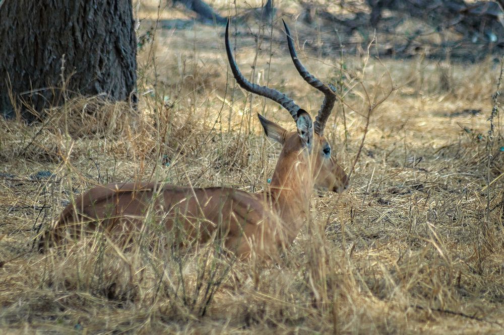 Photograph by Евгений Шварцман