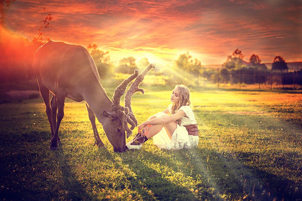 Photograph by svetlana Teteryatnik