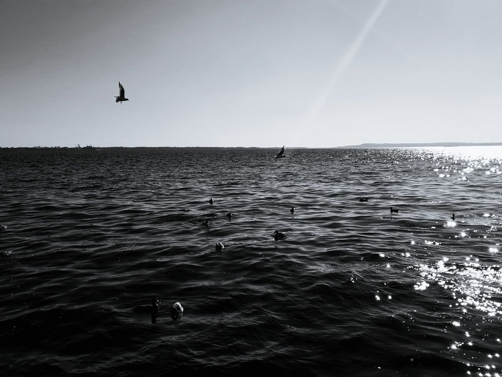 Photograph by Анастасия Бовкунова