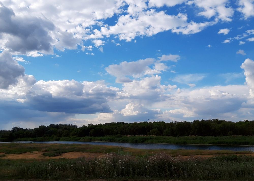 Родной берег