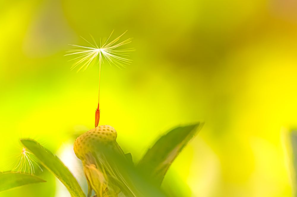 Waiting For The Breeze