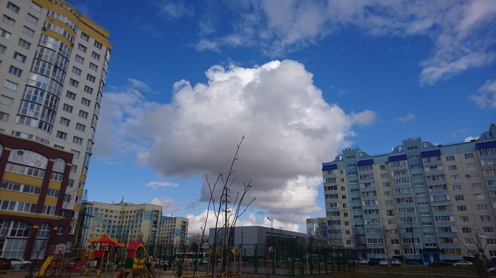 Photo #6246313