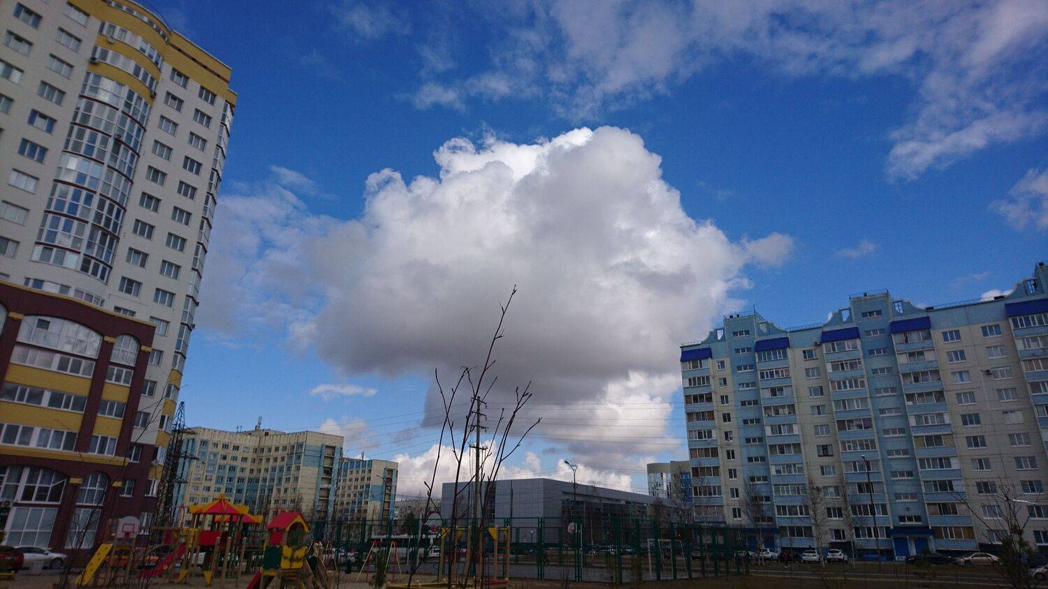 Photo #6246313