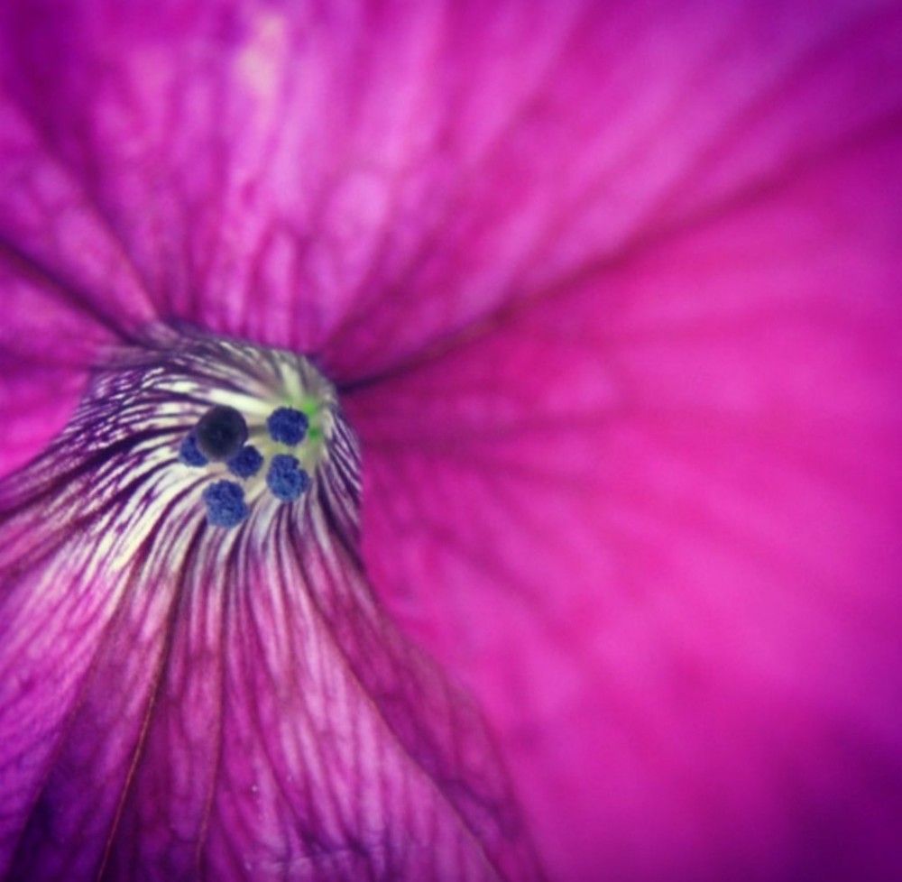 Photograph by Альбина Салихзяновна Бикчурина