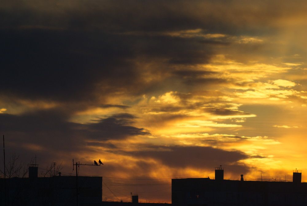 Photograph by Андрей Лебедев