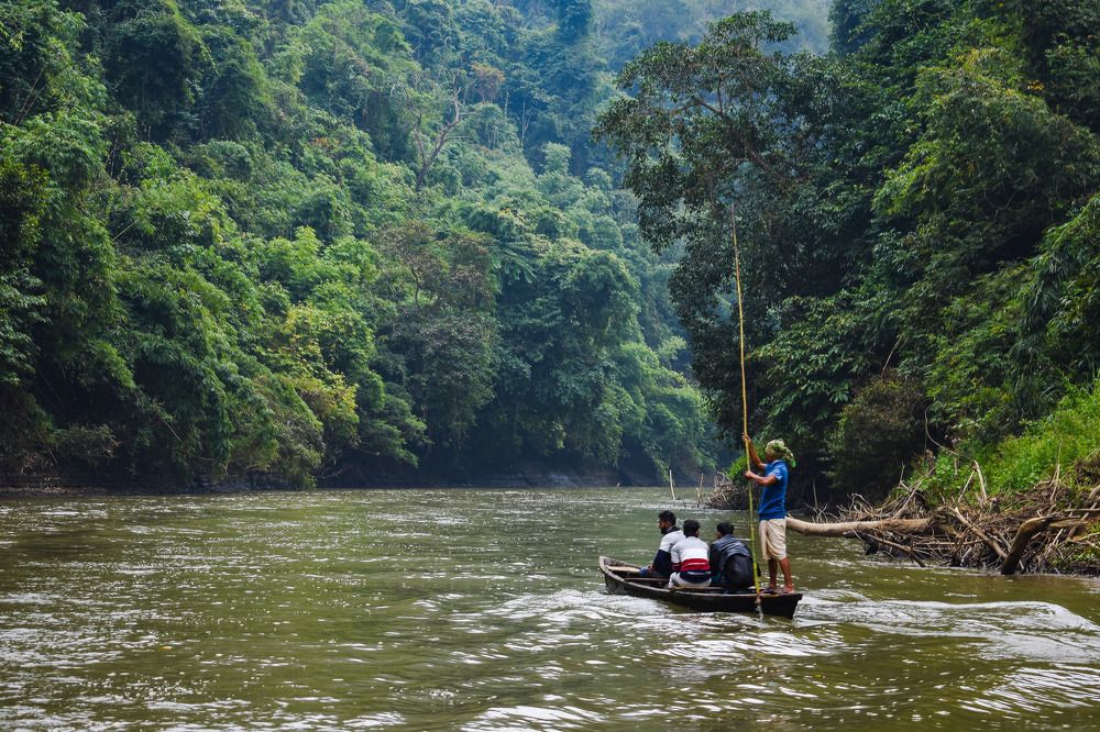 Photograph by Dipayan Debbarma