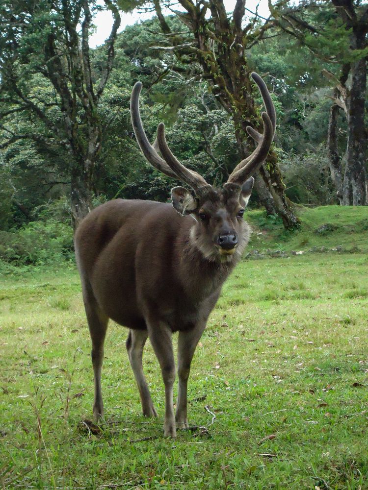 Photograph by Chamara Sulakkhana Polwatta Siriyalage