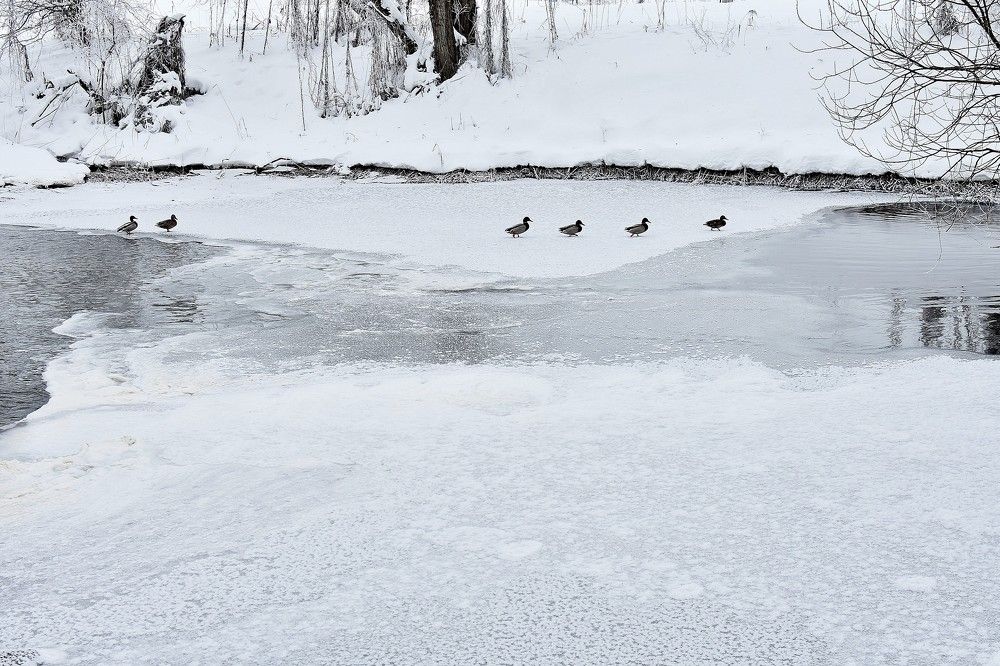 Photograph by Alexey Smal