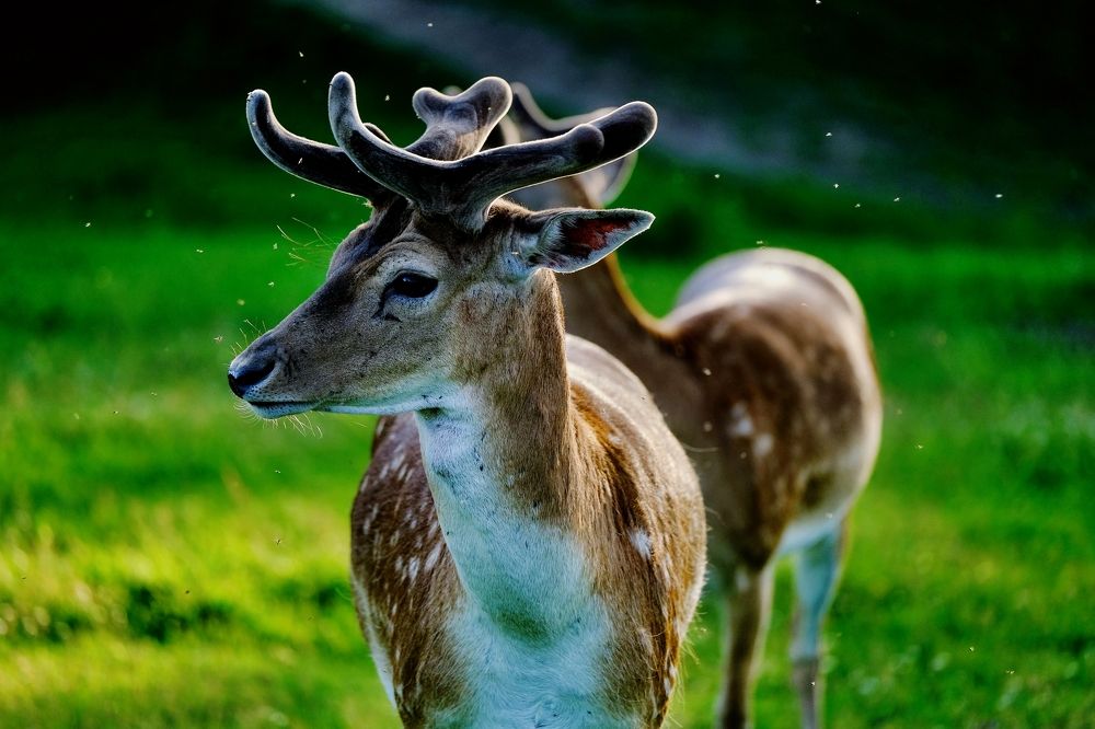 Photograph by Сергей Хазов