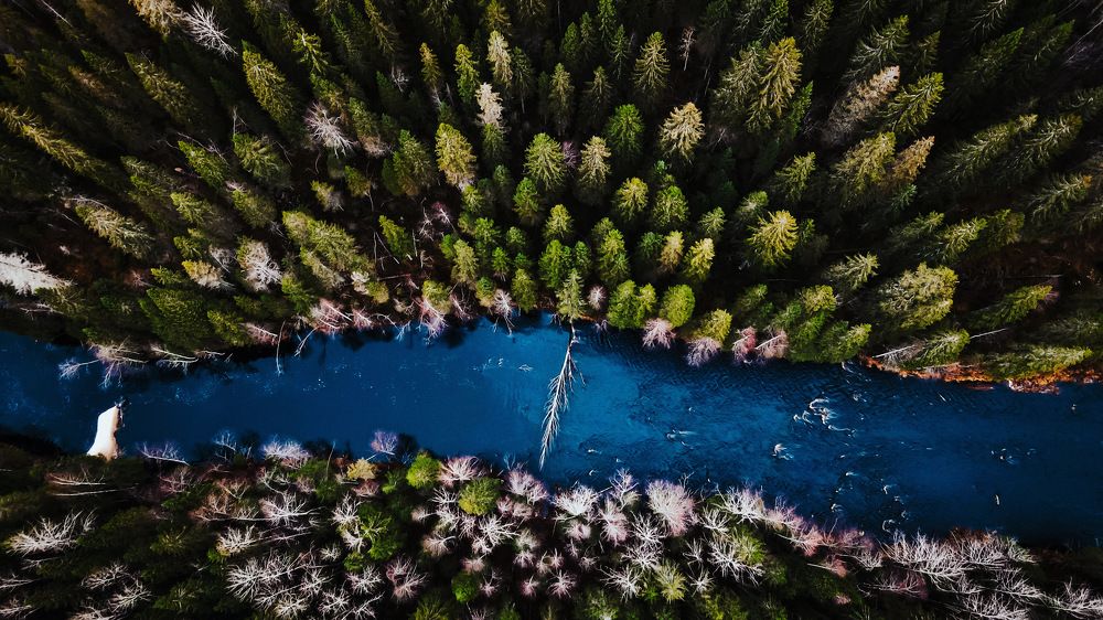 Photograph by Борис Александров