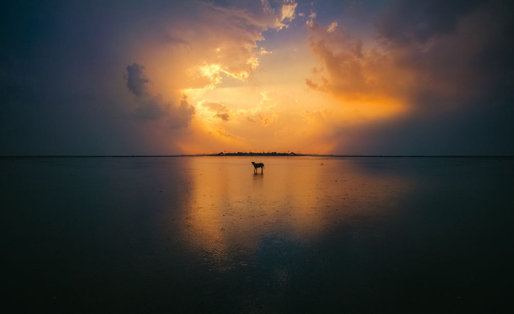 Photograph by Morteza Ghanbari