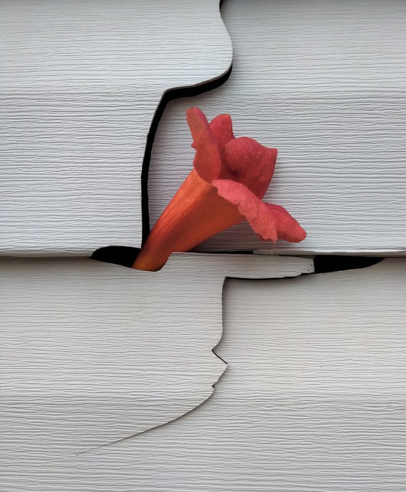 Разлом / Fault