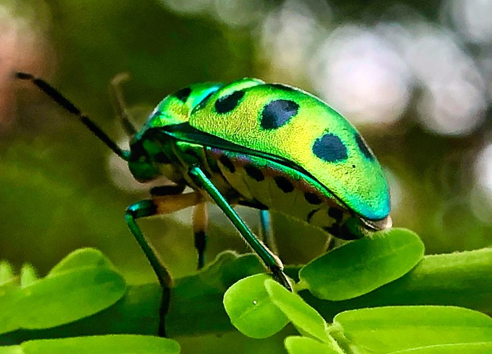 Photograph by Swati pise