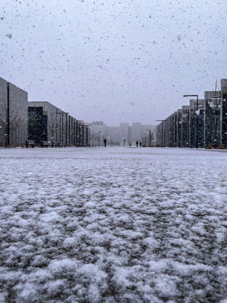 Поздний  снегопад.