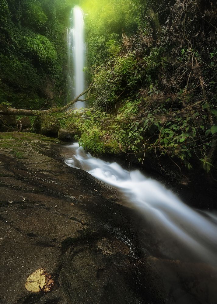 Photograph by Camacho Anto